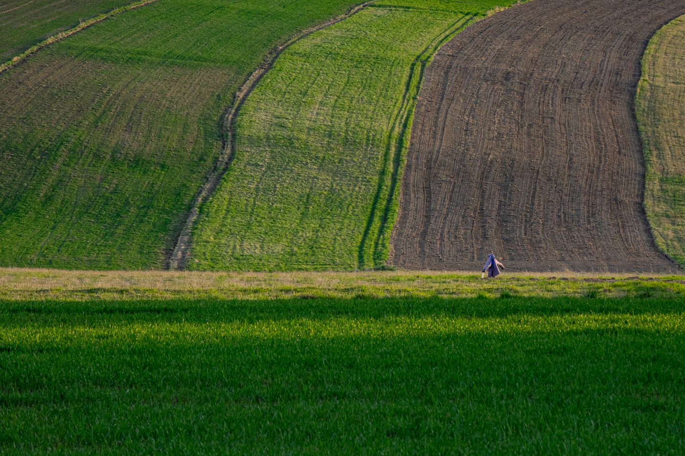 Investment land in Al Mansour